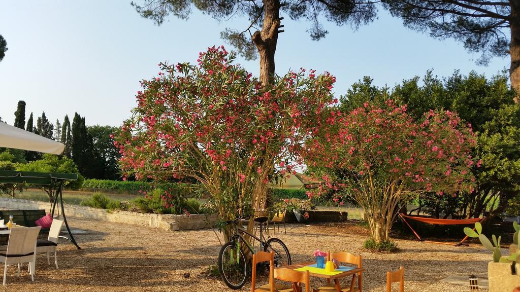 Agriturismo Occhineri Porto Cesareo Dış mekan fotoğraf