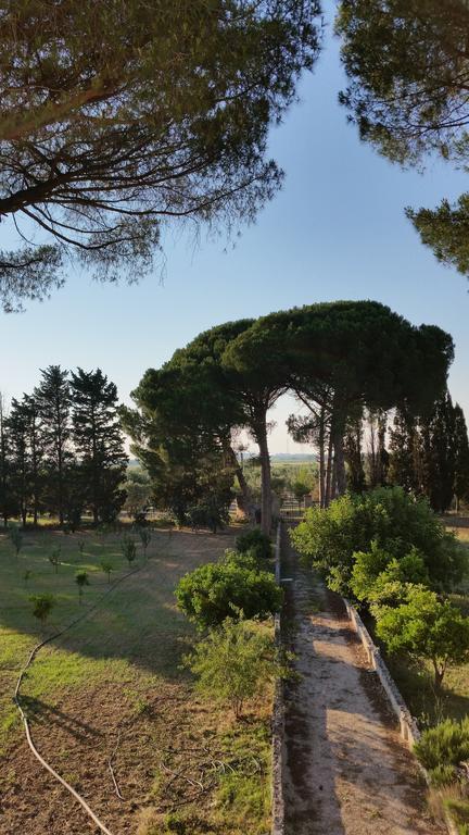 Agriturismo Occhineri Porto Cesareo Dış mekan fotoğraf
