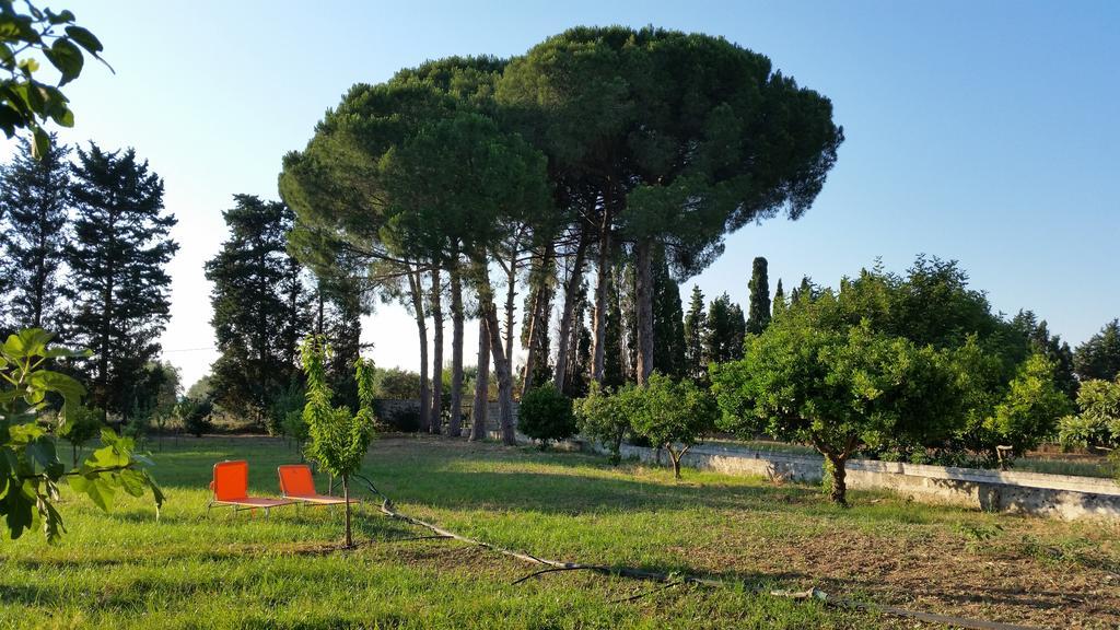 Agriturismo Occhineri Porto Cesareo Dış mekan fotoğraf