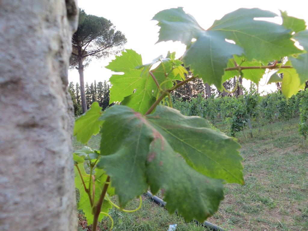 Agriturismo Occhineri Porto Cesareo Dış mekan fotoğraf
