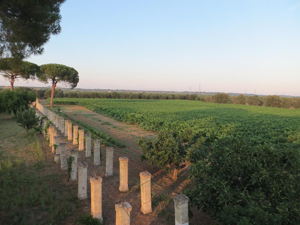 Agriturismo Occhineri Porto Cesareo Dış mekan fotoğraf