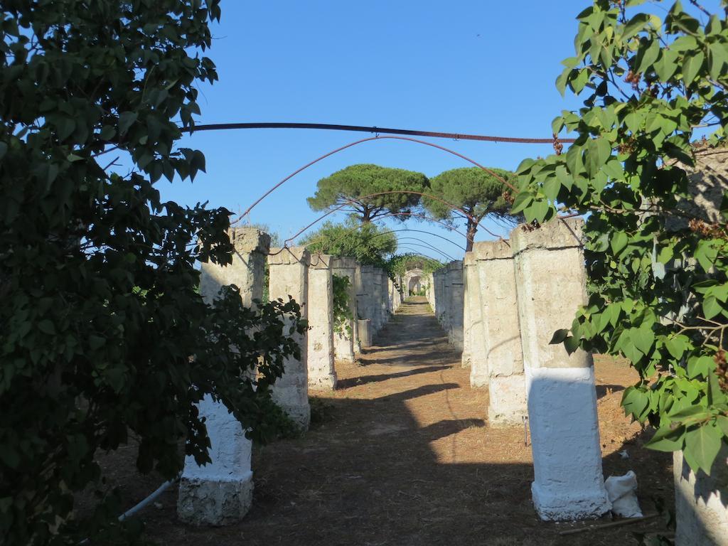Agriturismo Occhineri Porto Cesareo Dış mekan fotoğraf