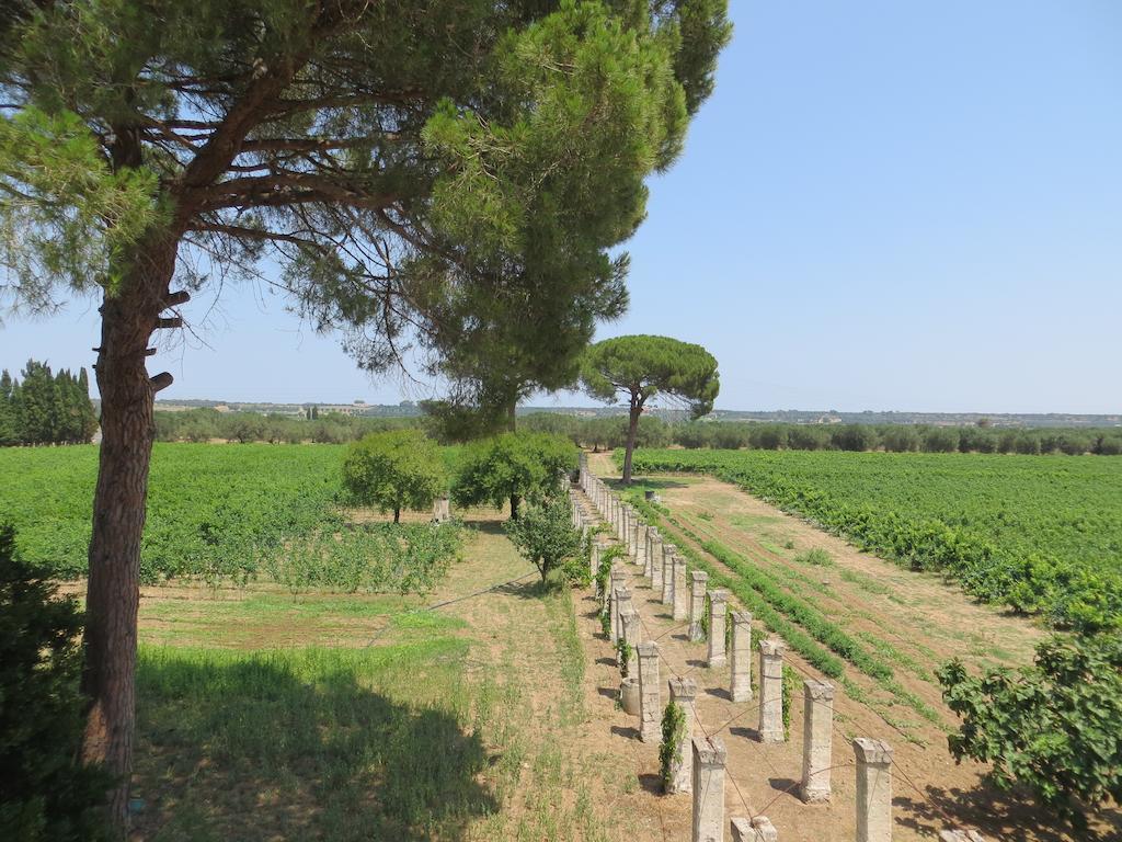 Agriturismo Occhineri Porto Cesareo Dış mekan fotoğraf
